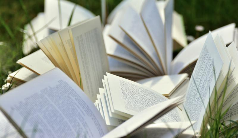 Plusieurs livres ouverts dans l'herbe