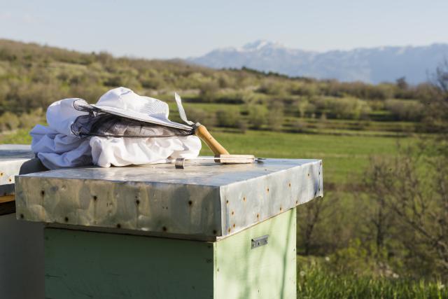 photo d'une ruche avec une combinaison de protection avec en fond un paysage de campagne