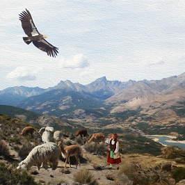 Un condor survole une bergère et ses lamas